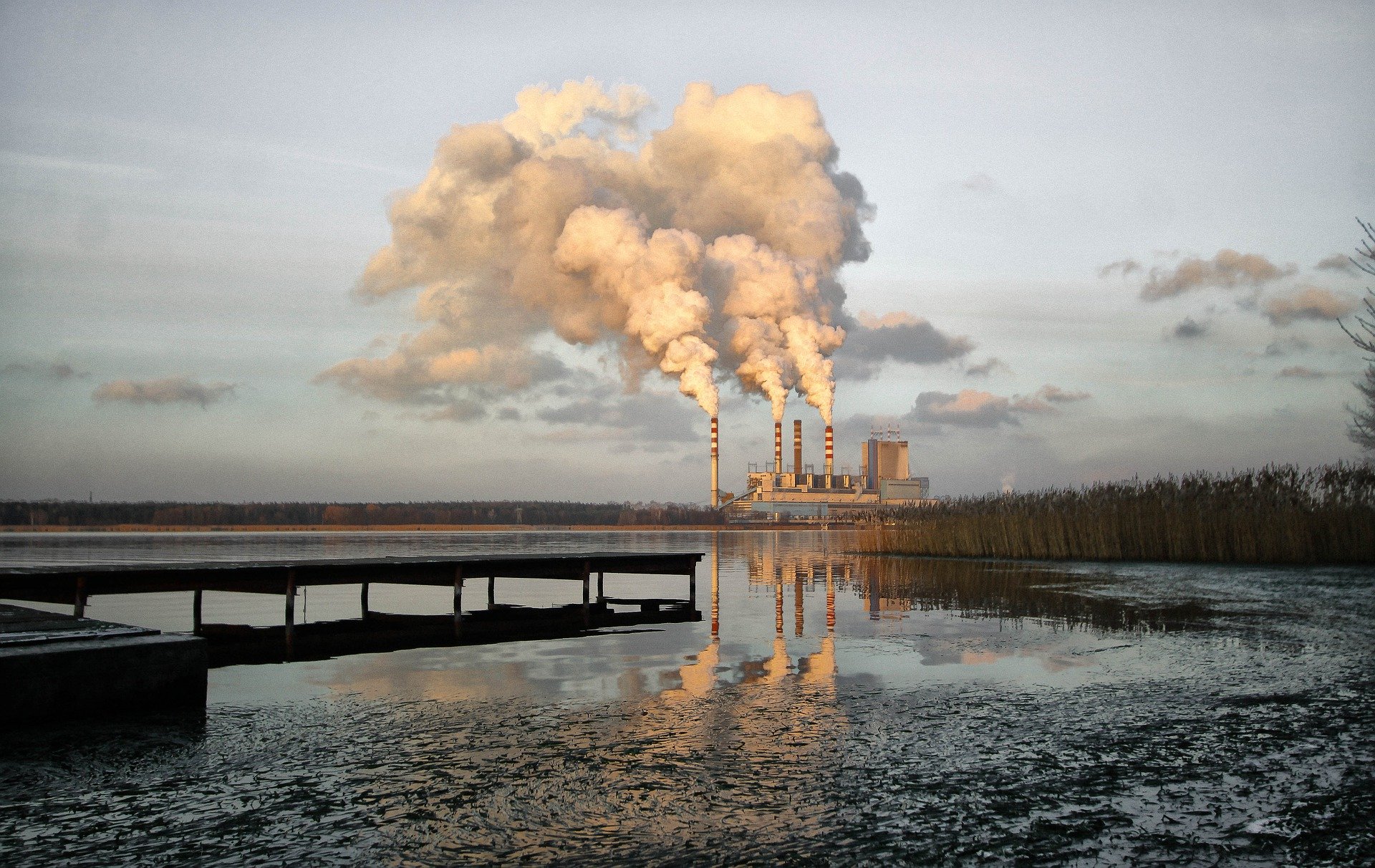 Course Image Environmental health